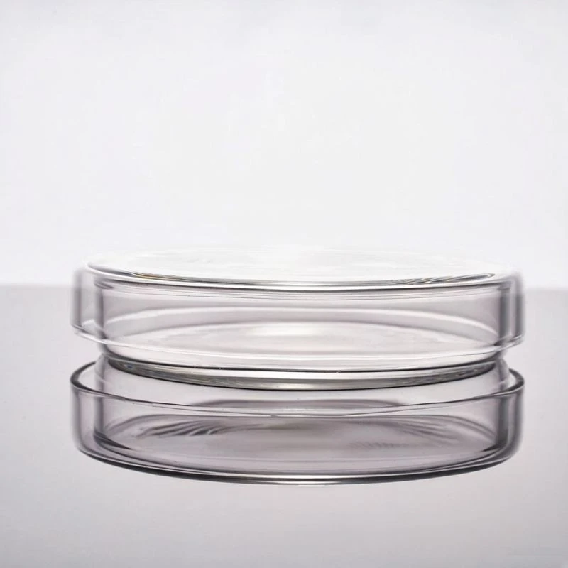 Glass Bottom Petri Dish suppliers